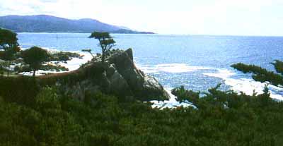 '17 Mile Drive' near Monteray and Carmel.