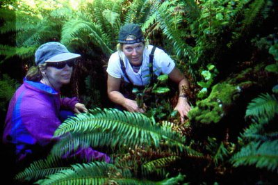 We found a totem pole!