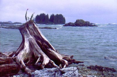 A west coast panaroma during a rare storm.