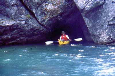 Guido in Natural Shelter.