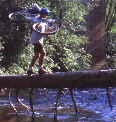 Alex doing a high tree act over Trout Creek.