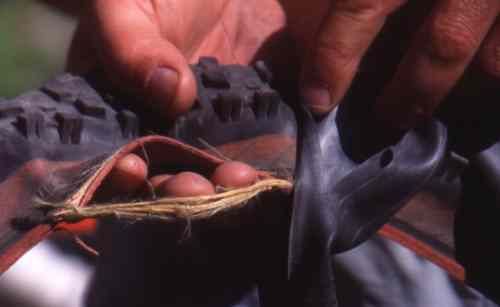 Scratch this tire and tube.