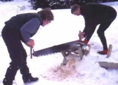 James & Frans on cross cut saw outside Liz Parker hut.