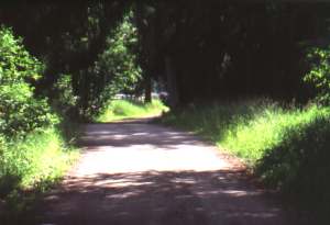 Entrance to River Lea campground.  Photo credit:  Peter LaGrandeur  July 1999.