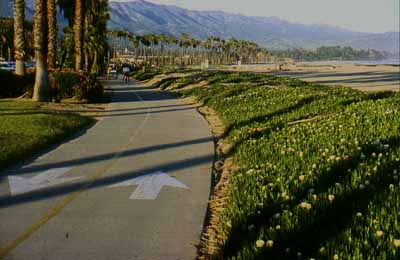 Santa Barbara beach walk.