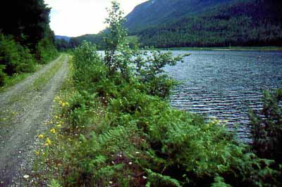 Rail trail aside Slocan Lake.